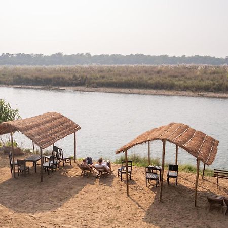 Jungle Wildlife Camp Ξενοδοχείο Sauraha Εξωτερικό φωτογραφία