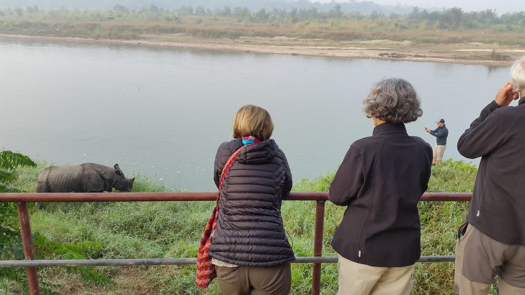 Jungle Wildlife Camp Ξενοδοχείο Sauraha Εξωτερικό φωτογραφία
