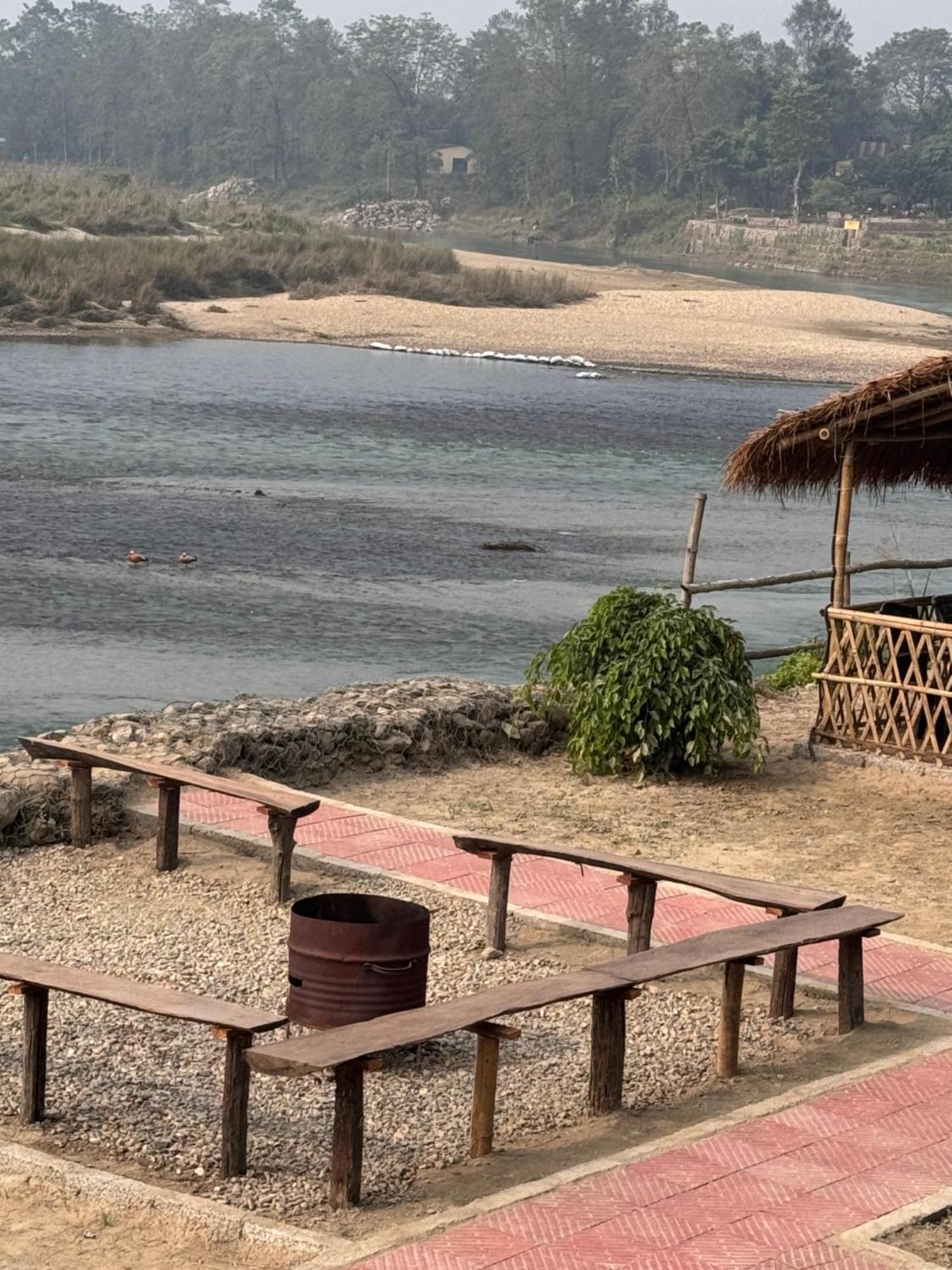 Jungle Wildlife Camp Ξενοδοχείο Sauraha Εξωτερικό φωτογραφία