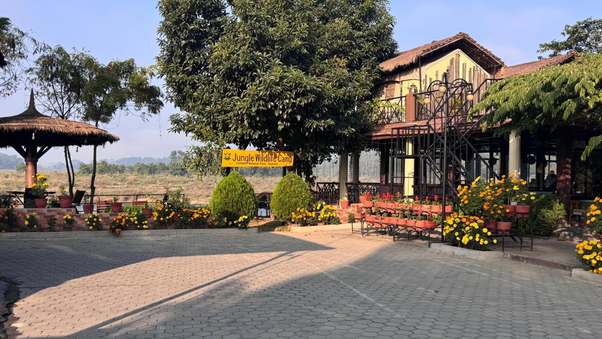 Jungle Wildlife Camp Ξενοδοχείο Sauraha Εξωτερικό φωτογραφία