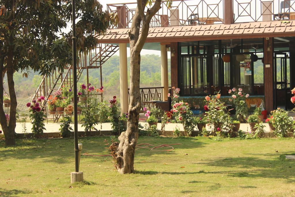 Jungle Wildlife Camp Ξενοδοχείο Sauraha Εξωτερικό φωτογραφία