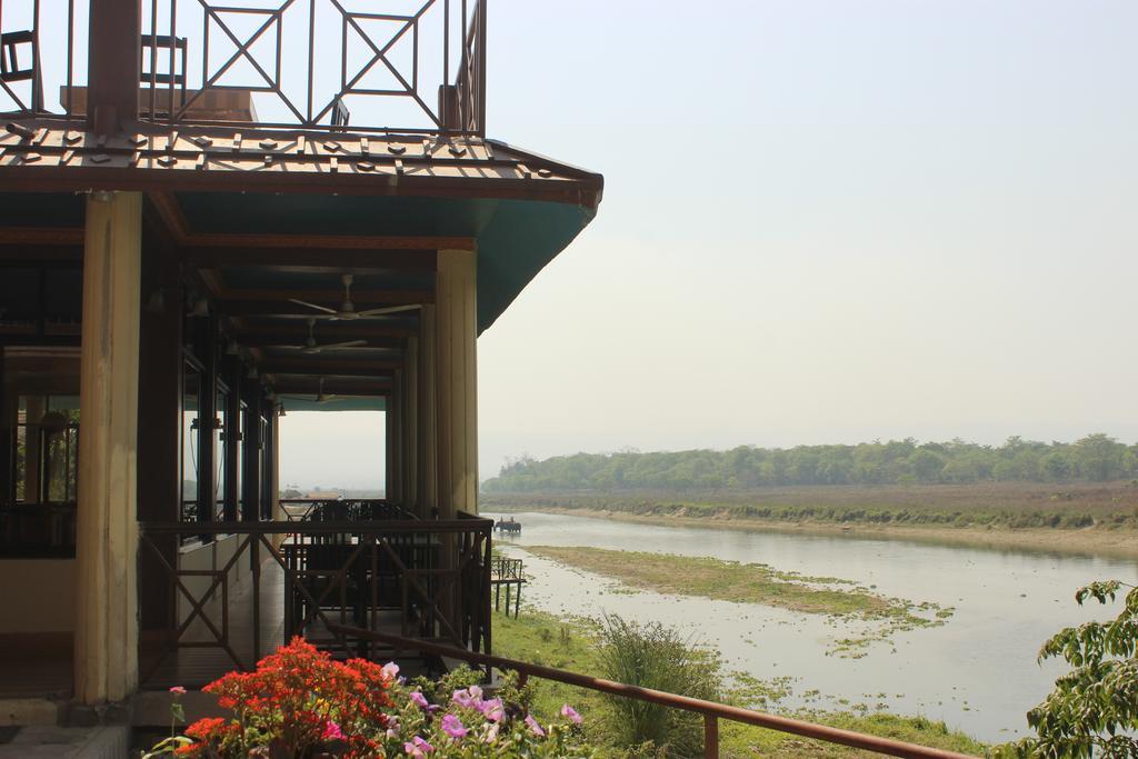 Jungle Wildlife Camp Ξενοδοχείο Sauraha Εξωτερικό φωτογραφία