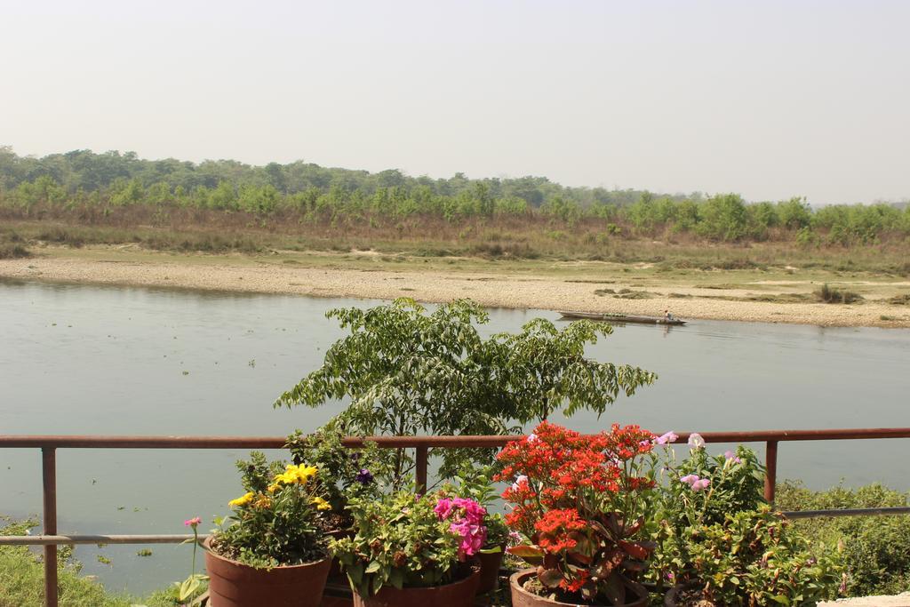 Jungle Wildlife Camp Ξενοδοχείο Sauraha Εξωτερικό φωτογραφία