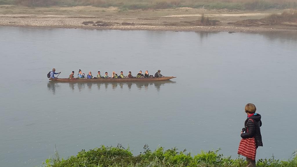 Jungle Wildlife Camp Ξενοδοχείο Sauraha Εξωτερικό φωτογραφία