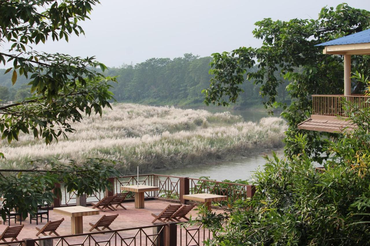 Jungle Wildlife Camp Ξενοδοχείο Sauraha Εξωτερικό φωτογραφία
