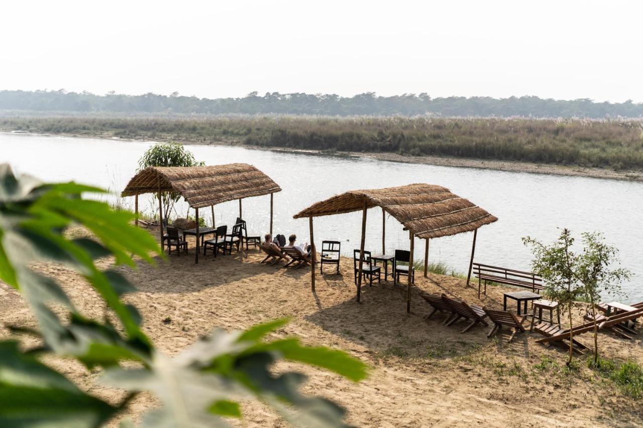 Jungle Wildlife Camp Ξενοδοχείο Sauraha Εξωτερικό φωτογραφία