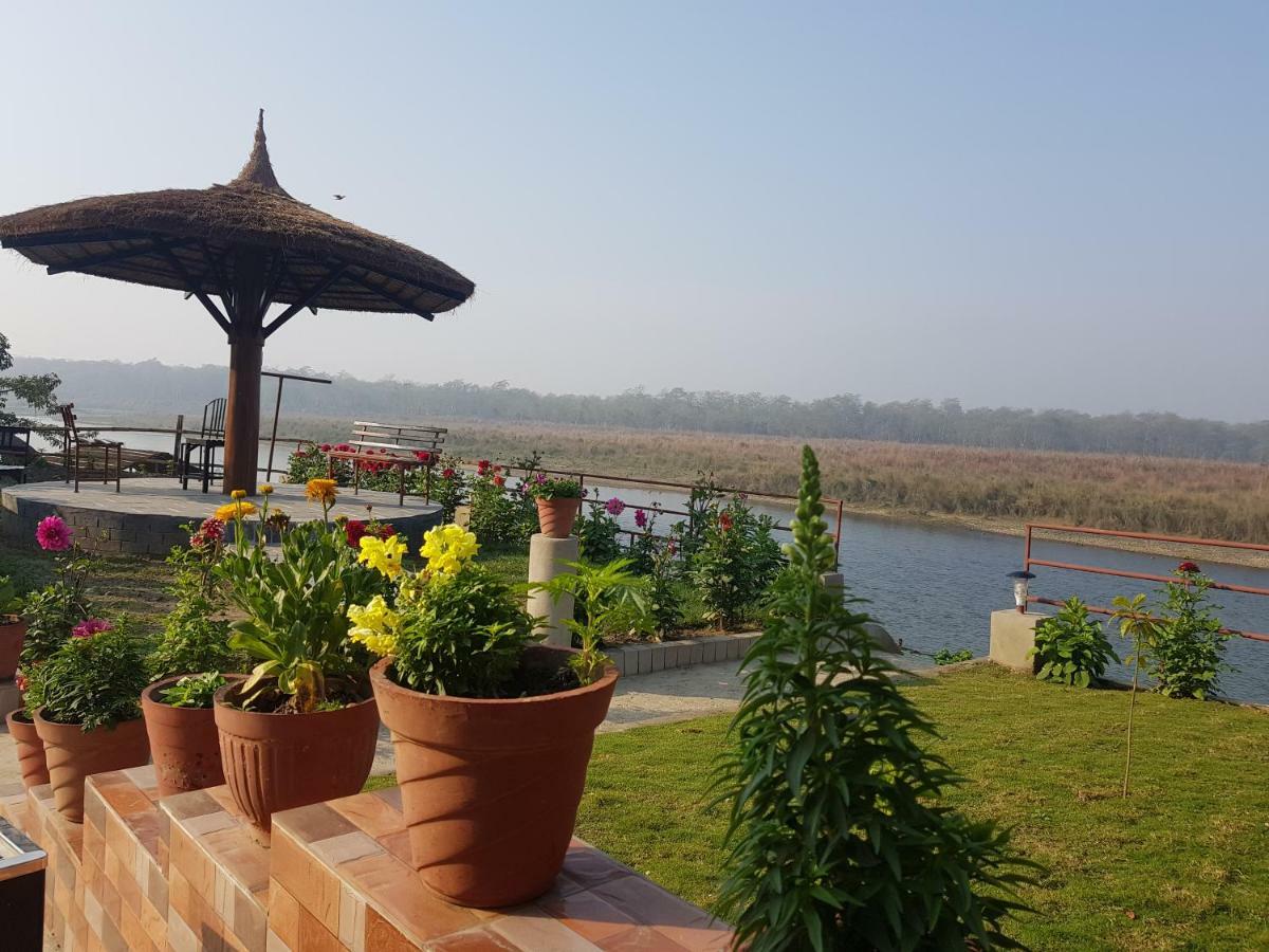 Jungle Wildlife Camp Ξενοδοχείο Sauraha Εξωτερικό φωτογραφία
